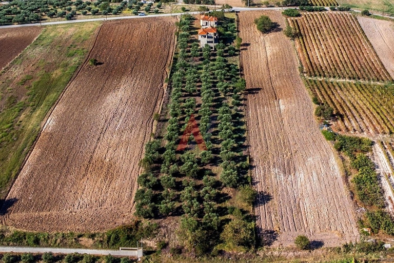 8,000 sq.m. Plot of land for sale, Ano Perea, Thessaloniki