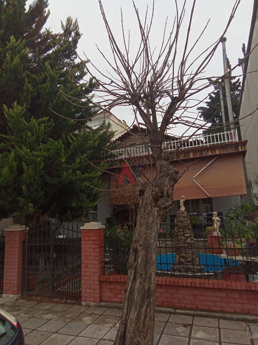 Πωλείται ισόγειο Μονοκατοικία 160τμ Βενιζέλου Κιλκίς Βόρεια Ελλάδα