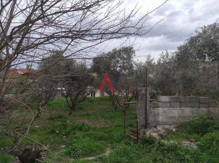 Detached House 70 sq m for sale, Aeginio, Pieria, Northern Greece